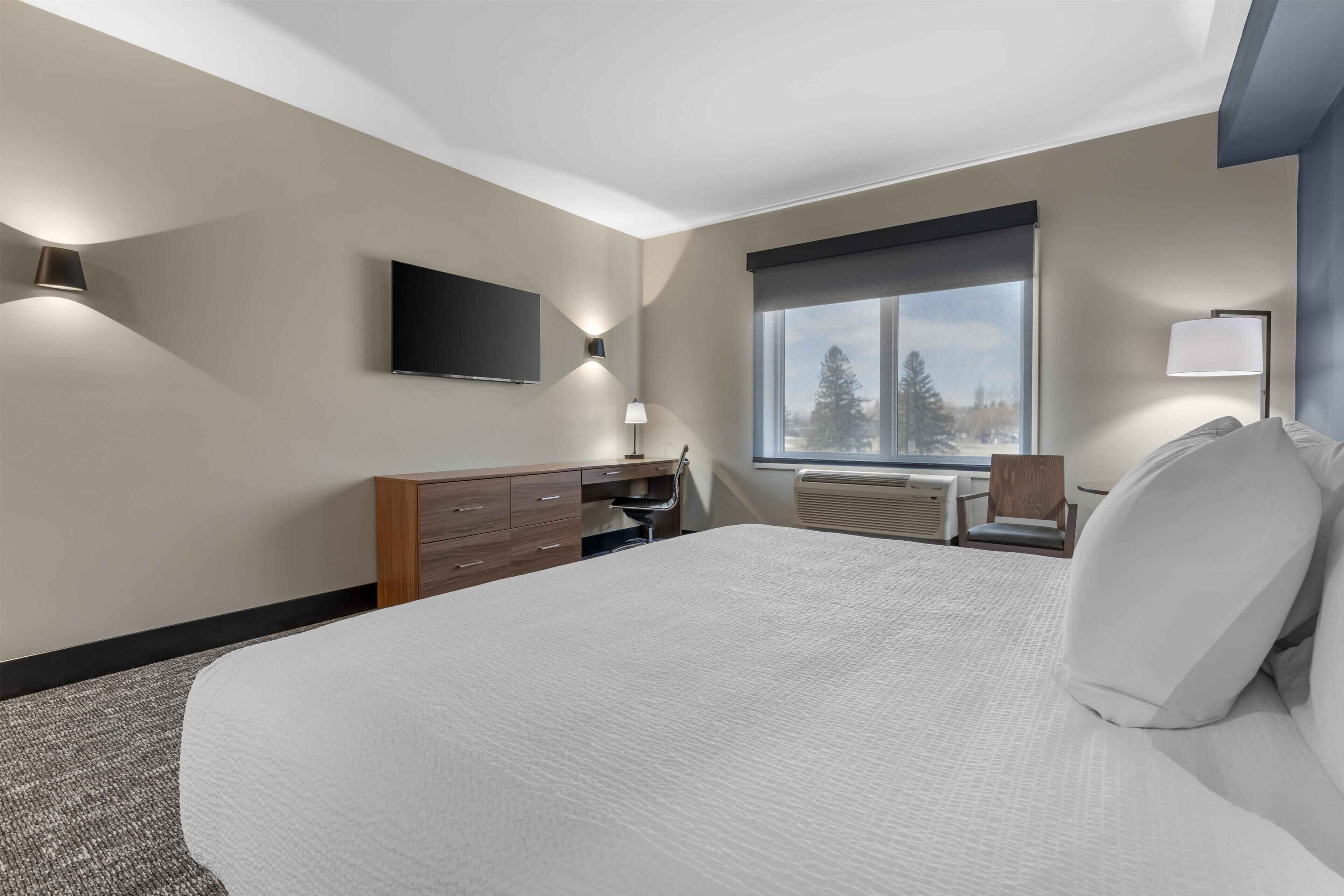 Una camera d'albergo con un letto grande, una scrivania, una sedia, una televisione e una finestra con vista sugli alberi.