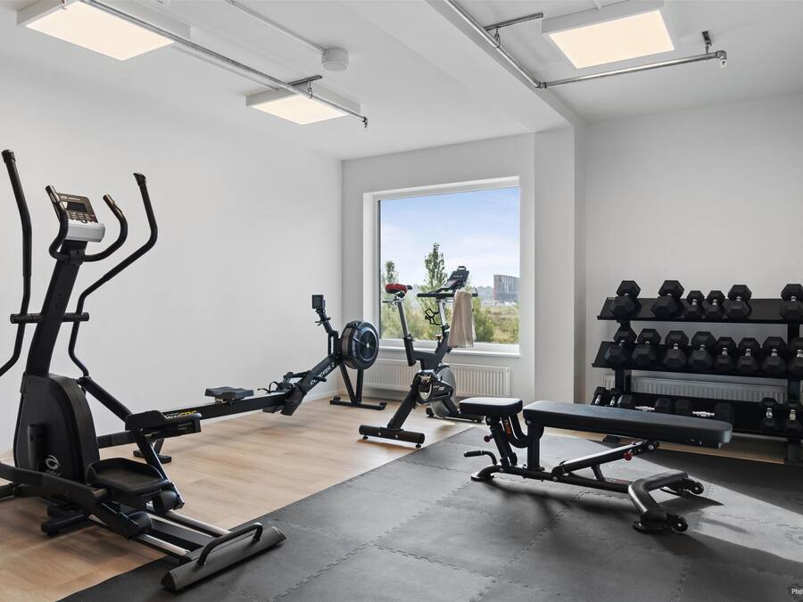 A gym with cardio machines, free weights, and a bench.