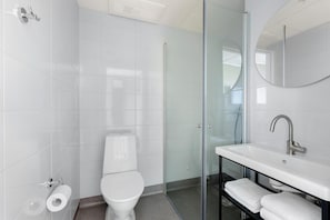Shower, eco-friendly toiletries, hair dryer, towels
