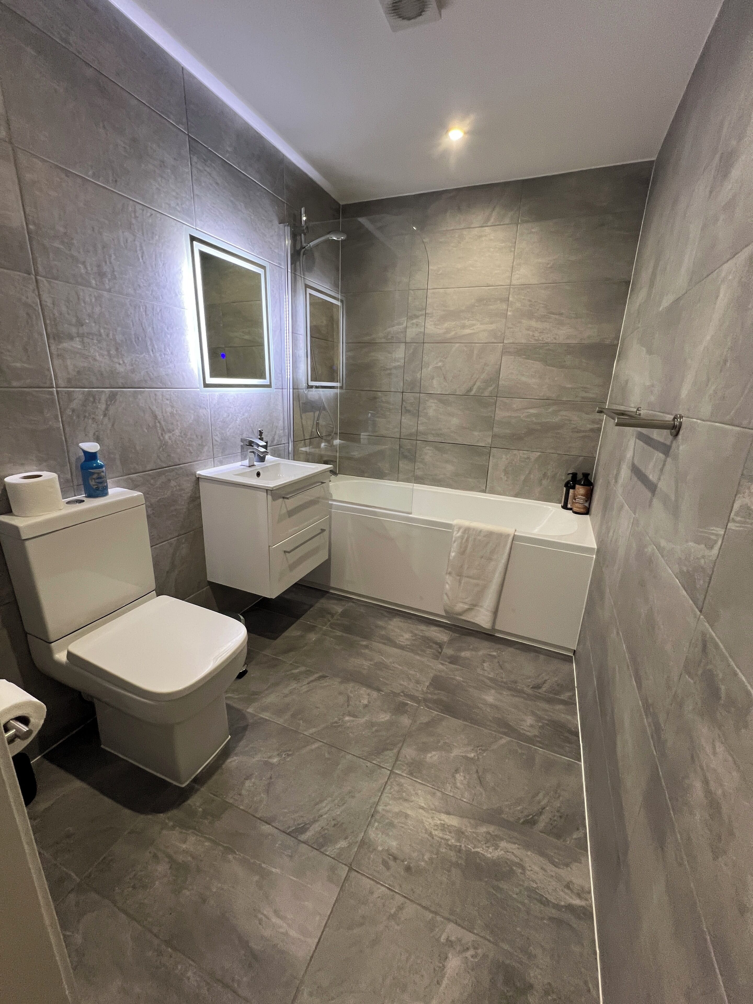 Hair dryer, towels, soap, toilet paper