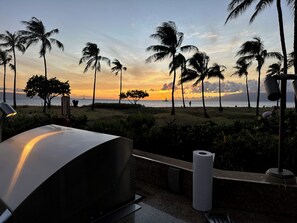 Property grounds - Studio Villa, OCEAN FRONT, Westin Kaanapali (Lahaina)