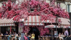 Ett utomhuskafé med bord och stolar, en randig markis och en blomsterprydd portal.