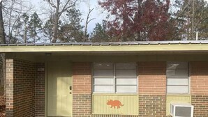 A single-story building with a brick facade, a green door, and a window with a bull decal. - Dino Den - Charming 1-bedroom apartment in Oneonta with WiFi, AC (Oneonta)
