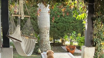 Àrea exterior de l'allotjament