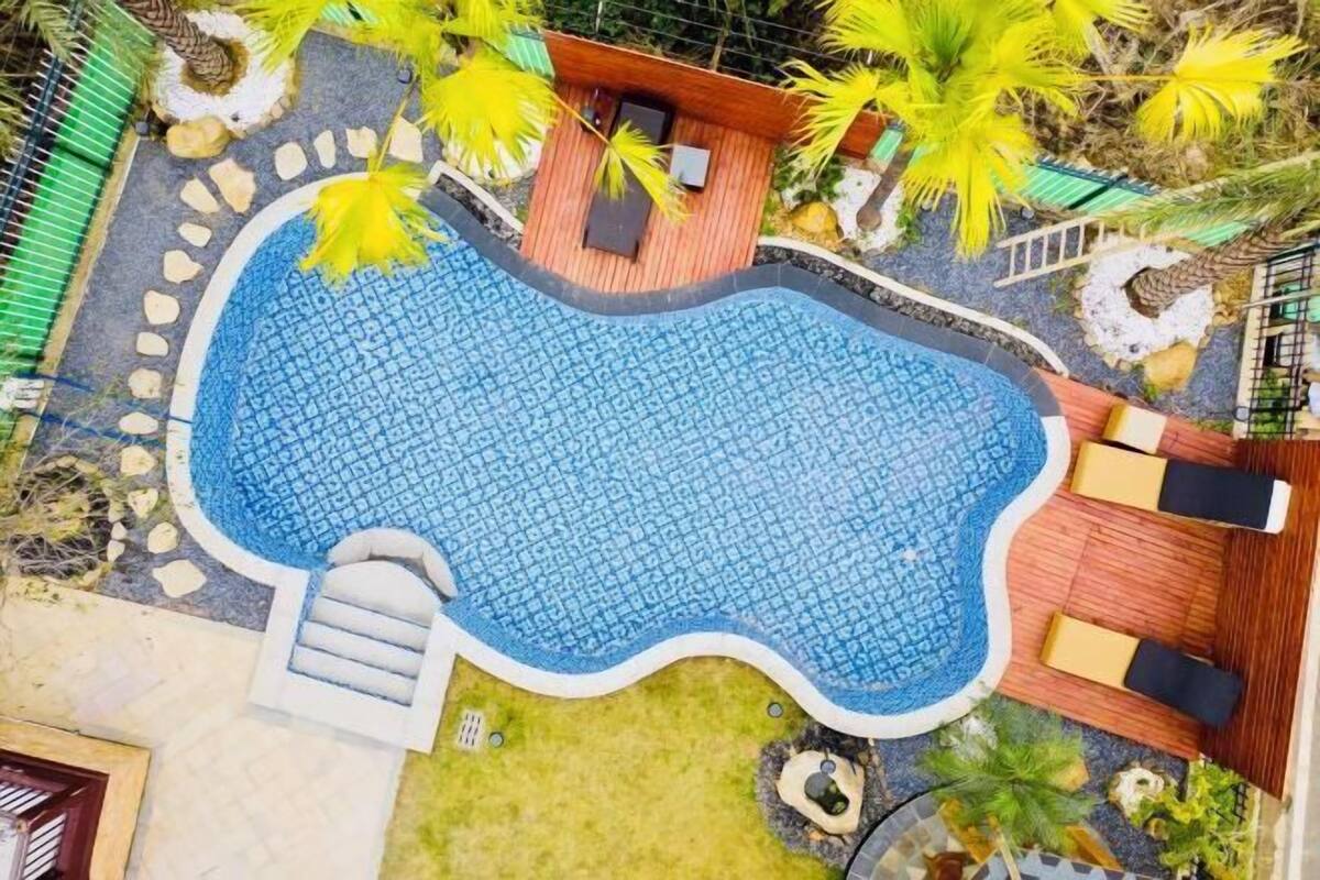 A swimming pool with a wooden deck and lounge chairs, surrounded by palm trees and a stone pathway.