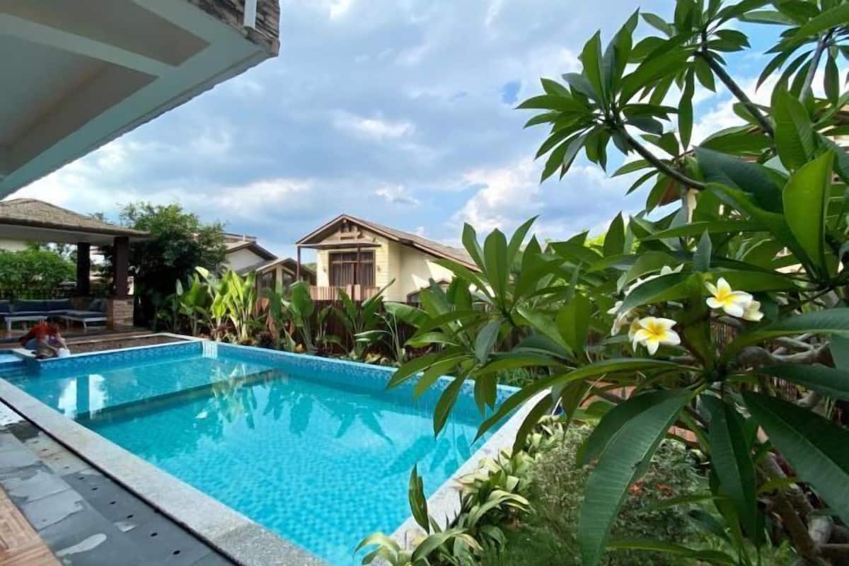 A swimming pool surrounded by lush greenery and a building with a sloped roof.