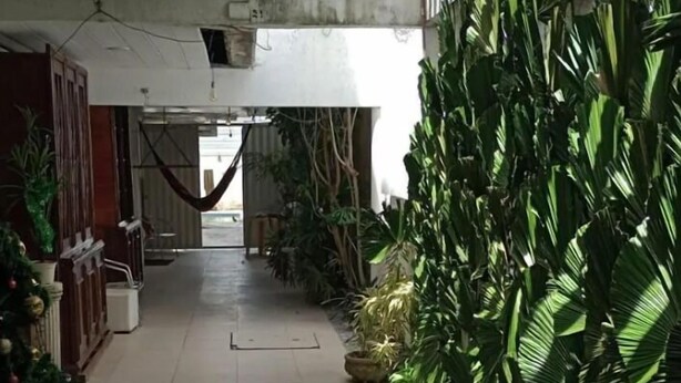 A corridor with a tiled floor, a Christmas tree, and a row of potted plants on one side.