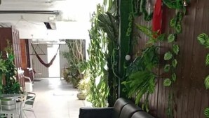 A seating area with a sofa and chairs, a tiled floor, and green plants on the walls.