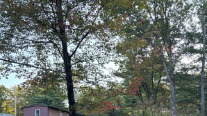 A sign for 'MINI RANCH' with a logo of a bear and trees, indicating a nature-themed establishment. - Charming mobile home with WiFi and AC in lovely Cross Fork. (Cross Fork)