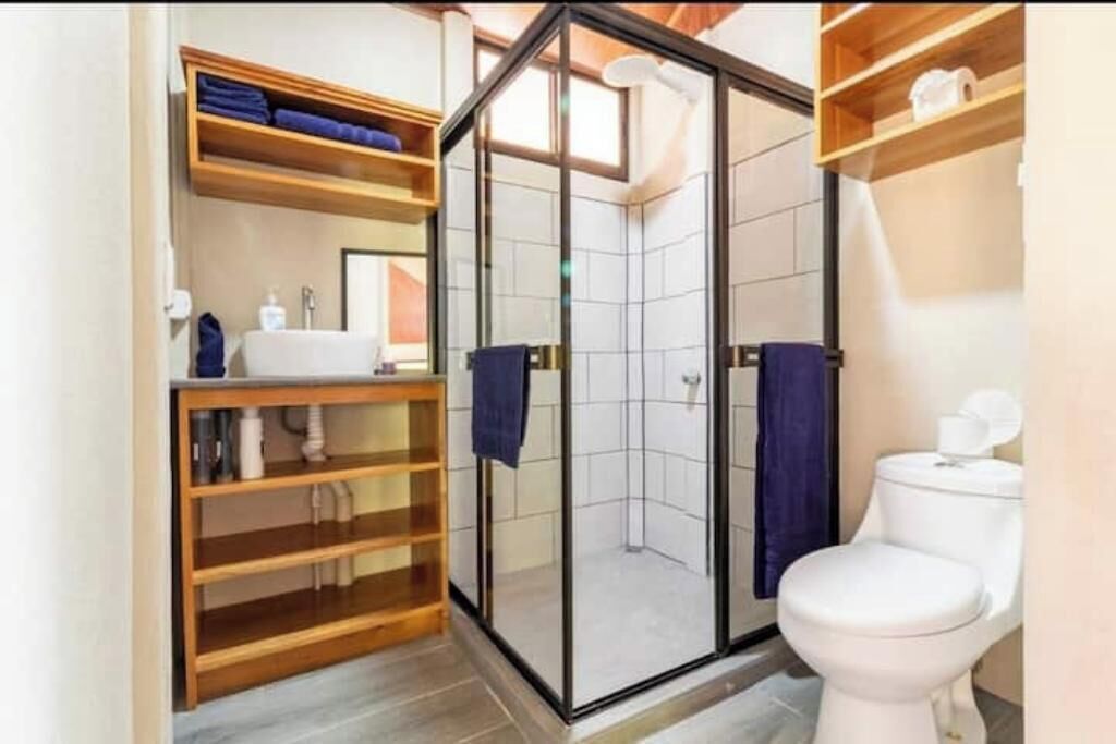 Hair dryer, towels, toilet paper