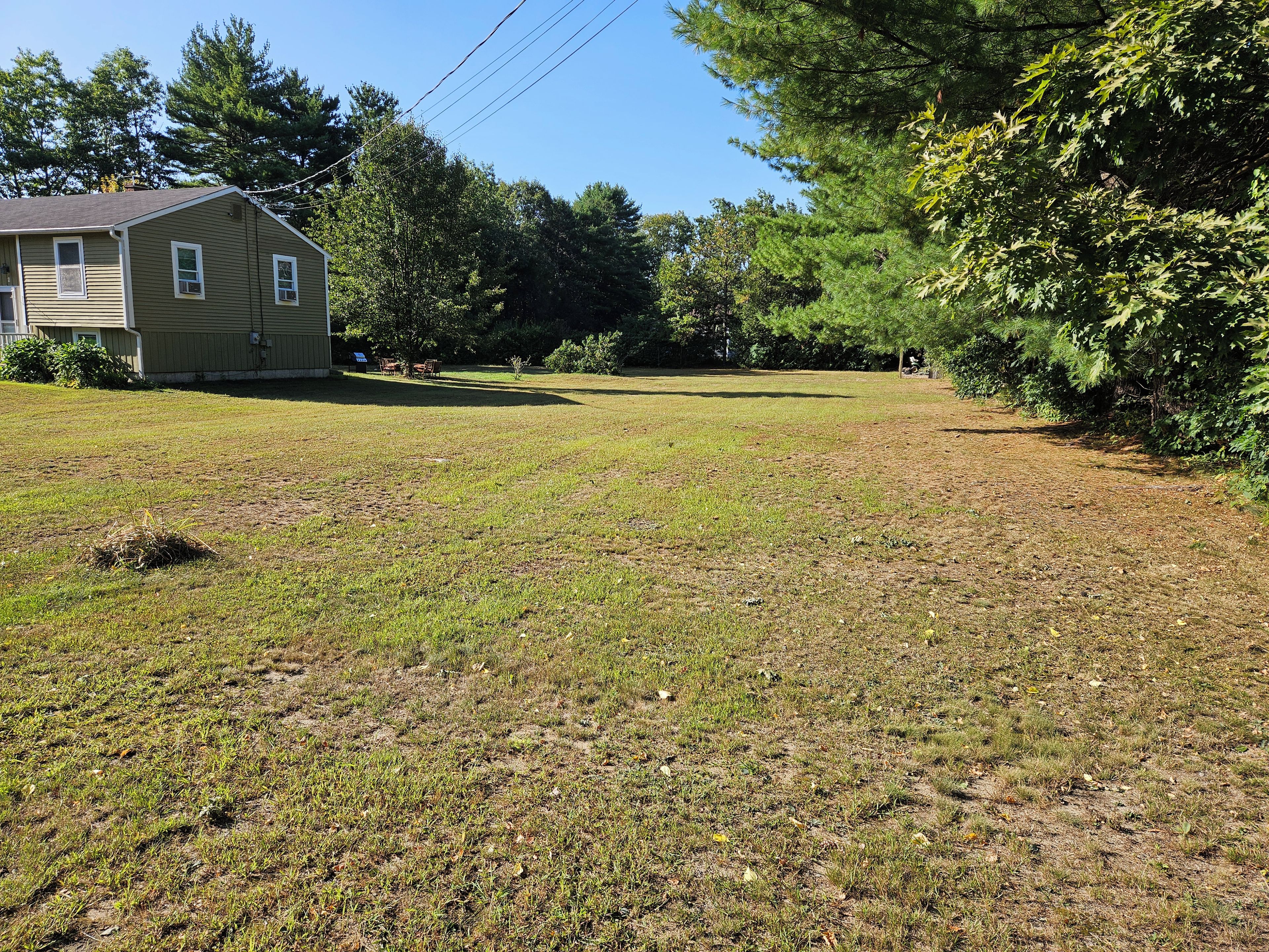 A grassy yard with a house and trees.
