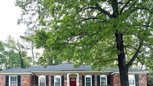 A brick house with a red door, a front yard, and a tree.