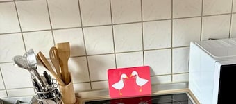 Cozy apartment in Oberbarmen-Schwarzbach, Wuppertal