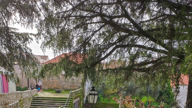 Garden view - Refugio da Serra (Belmonte)
