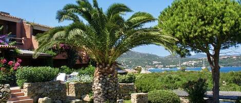 Un jardín ajardinado con una palmera, un muro de piedra y vistas al mar.