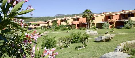 Terrain de l’hébergement