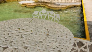 Un espace piscine agrémenté d’une table décorative, de chaises et d’un palmier.