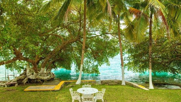 Une table et des chaises sont placées sous un grand arbre, près d’une étendue d’eau.