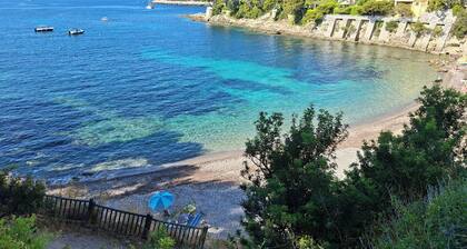 Villa Canteperdrix in Nice Panoramic sea view Quiet close to beaches and town