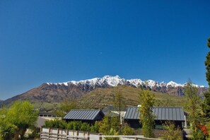 Miscellaneous - Queenstown central tree time (Queenstown)