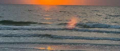 بالقرب من الشاطئ، مناشف للشاطئ