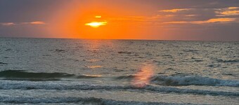 Callie’s Villa: Private Saltwater Pool Oasis. 2BR-2BA : Sleeps 6