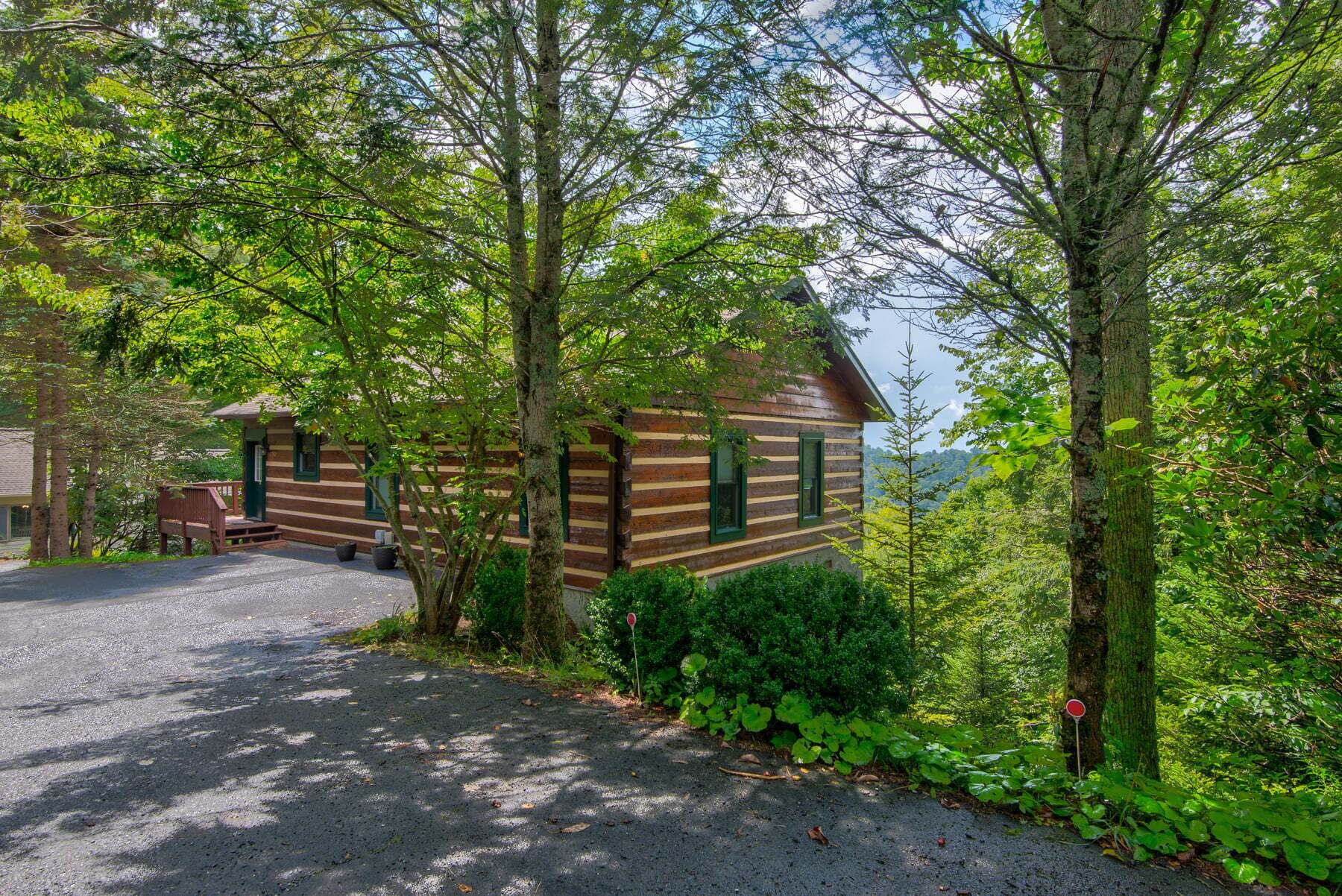 A cabin with a gravel driveway, surrounded by dense greenery and trees.