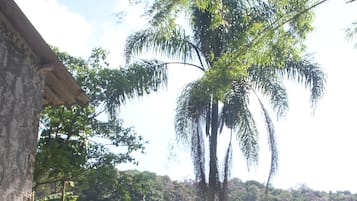 Terras