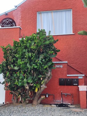 Exterior detail - Charming, Cozy Casita! (View Park-Windsor Hills)