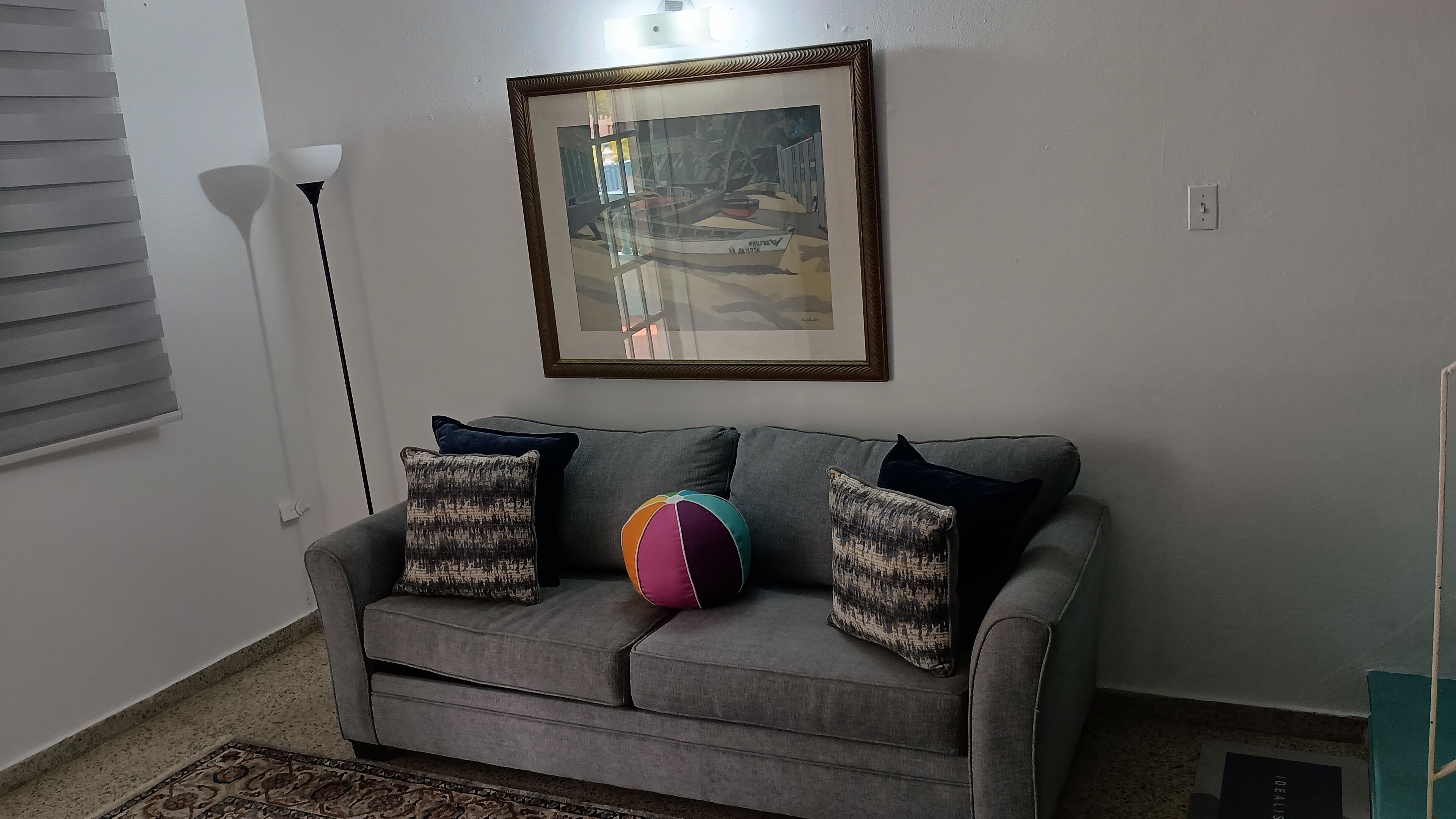 En grå sofa med mønstrede puder, en farverig strandbold og et indrammet kunstværk på væggen.