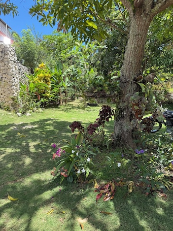 Property grounds. Media Luna Apartment