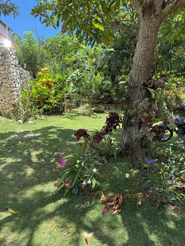 Media Luna Apartment