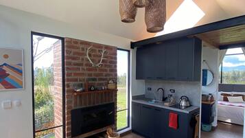 TV connectée, cheminée