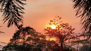 A sunset with a tree silhouetted against a sky.