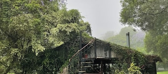 Charming 3-bedroom Chalet in the heart of superb Tamborine Mountain