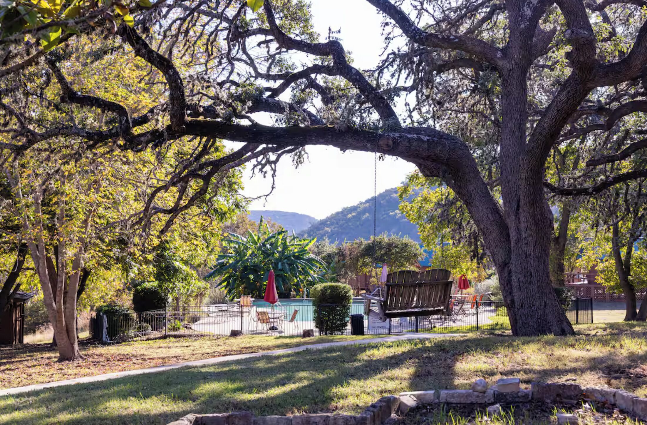Un parc avec un grand arbre, des bancs et une aire de jeux.
