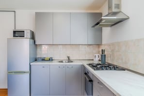 Fridge, oven, stovetop, cookware/dishes/utensils