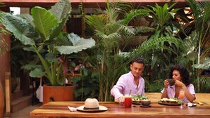 Une table en bois sur laquelle se trouvent un chapeau, une boisson et une assiette de nourriture, le tout dans un décor intérieur luxuriant agrémenté de grandes plantes vertes.