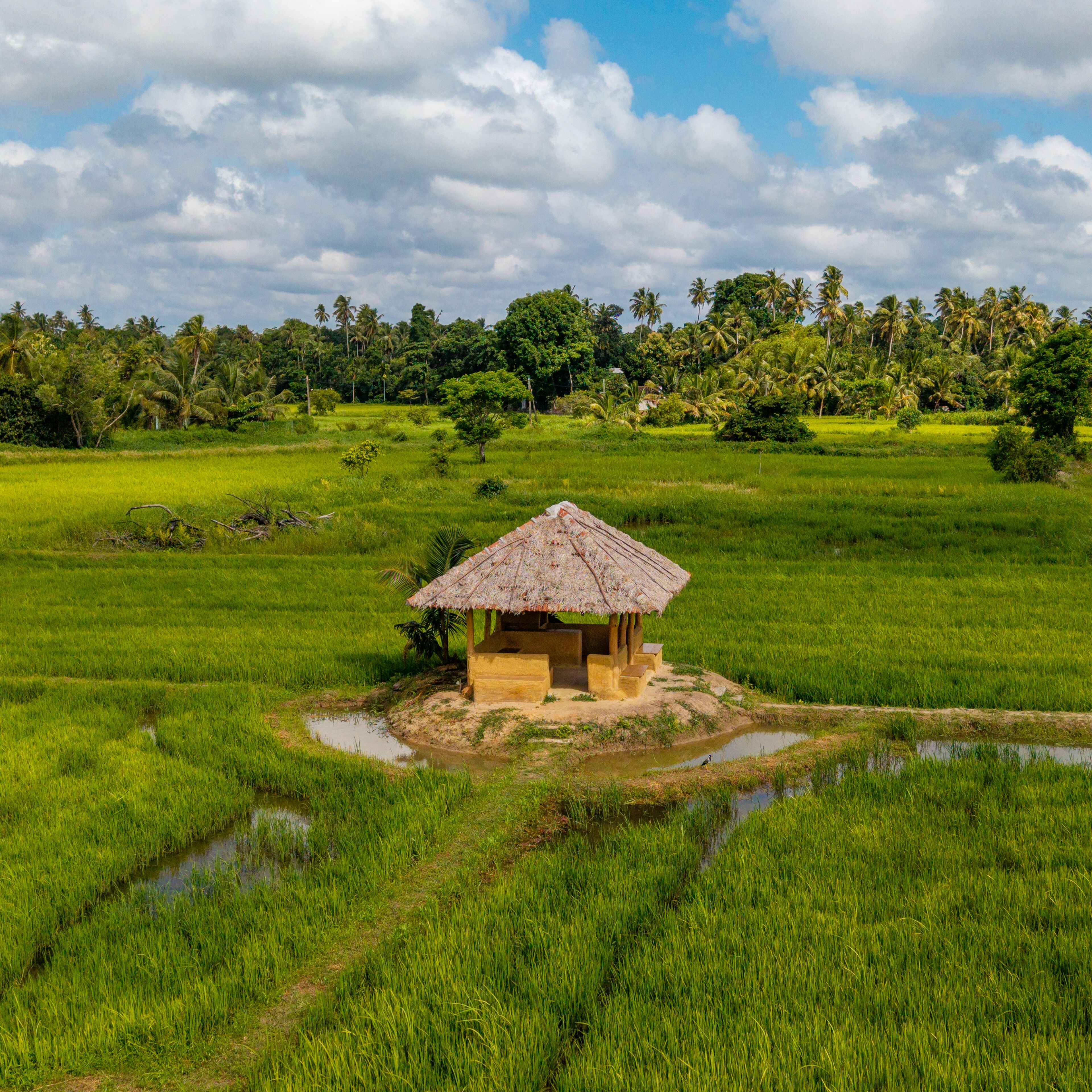 Photo - Kirindi Paddy Isle - Boutique Villa