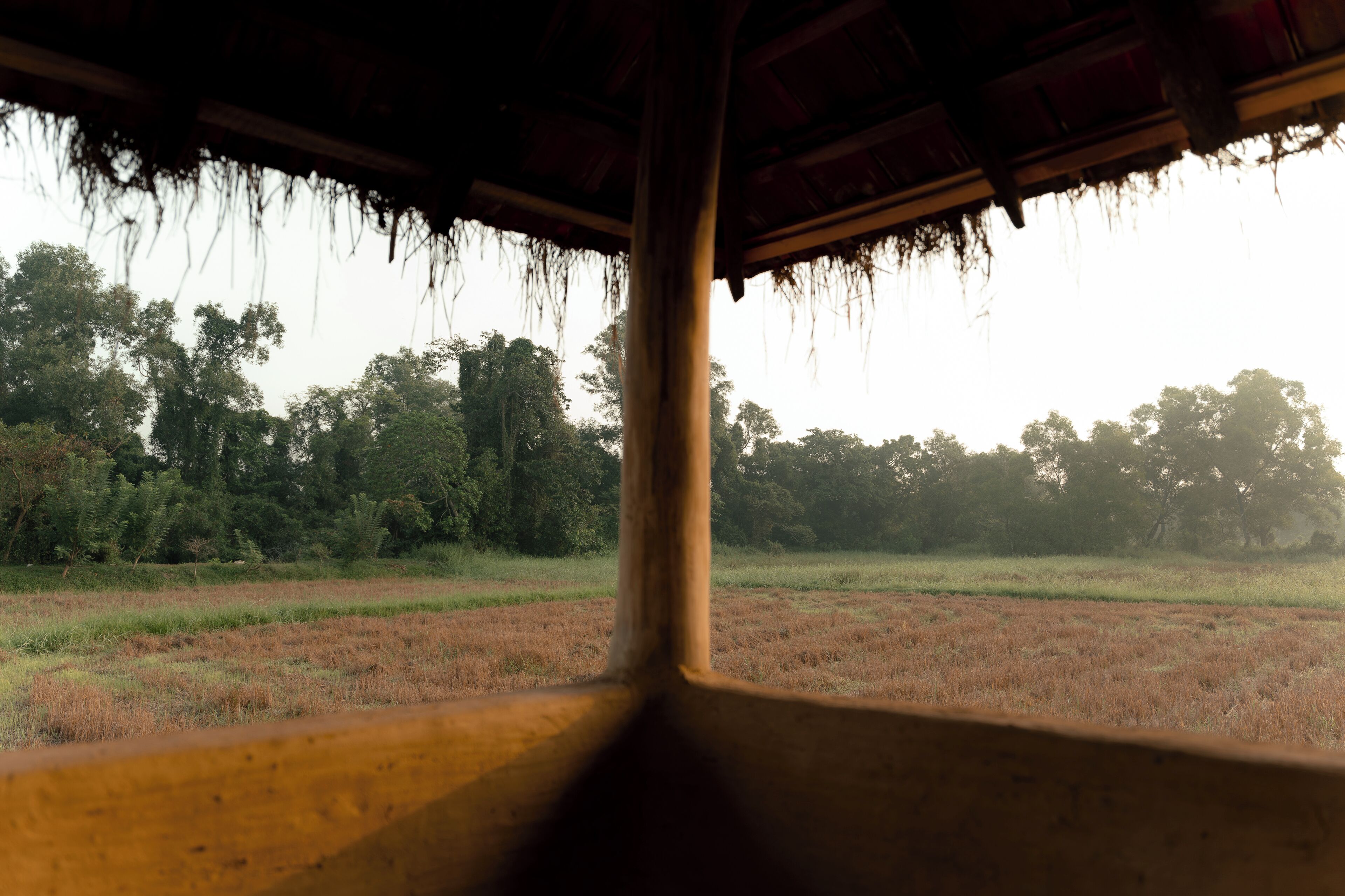 A view from inside a structure with a thatched roof, looking out at a field and trees.