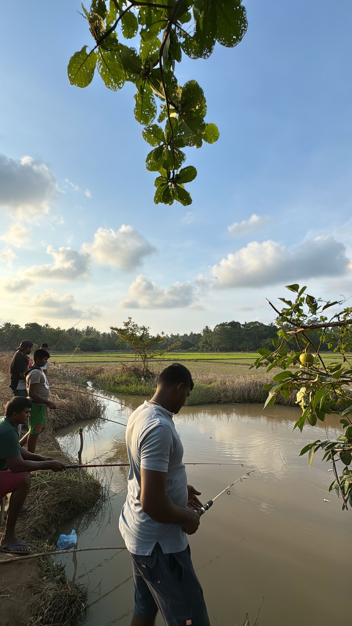 Photo - Kirindi Paddy Isle - Boutique Villa