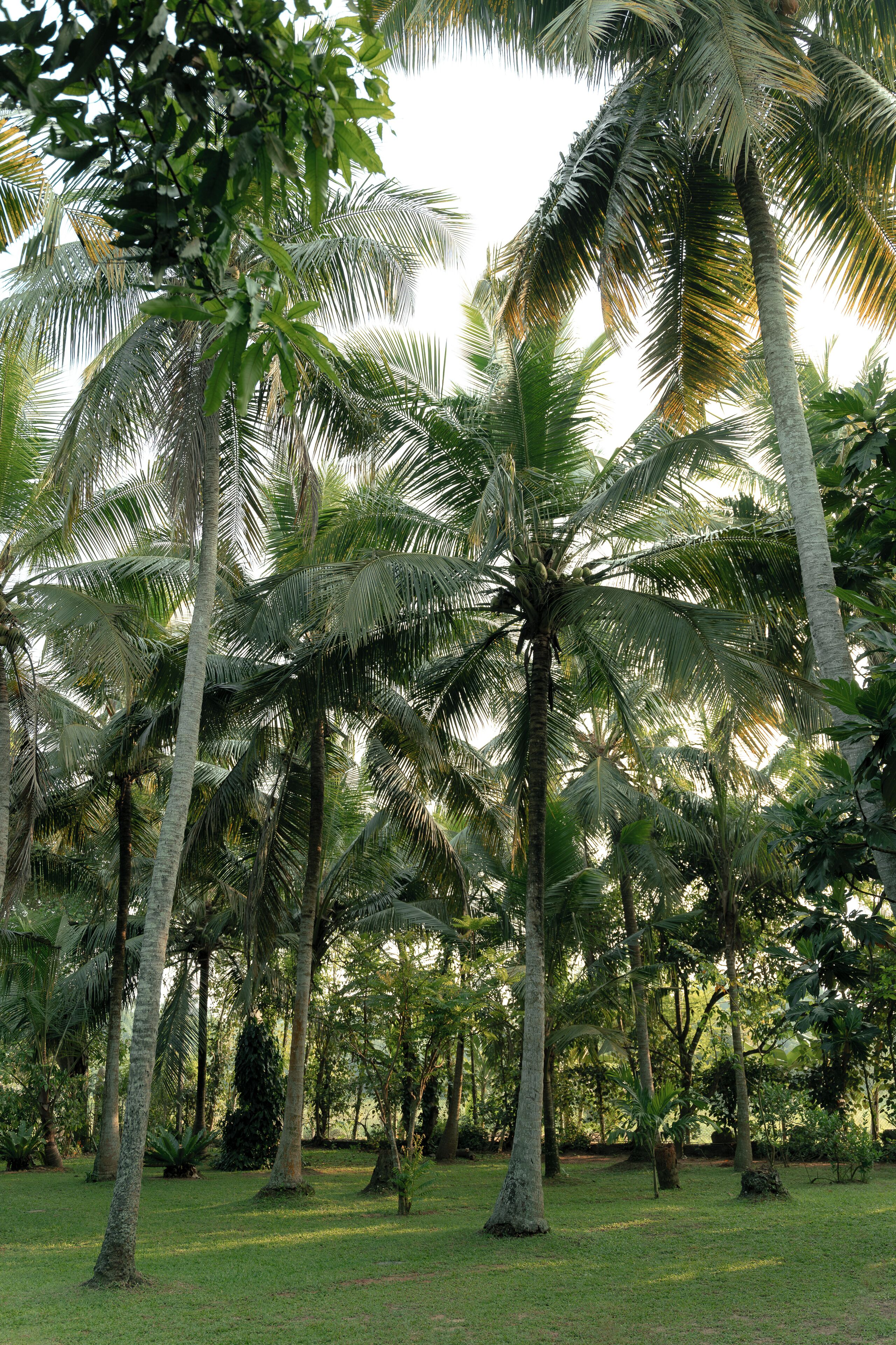 Photo - Kirindi Paddy Isle - Boutique Villa