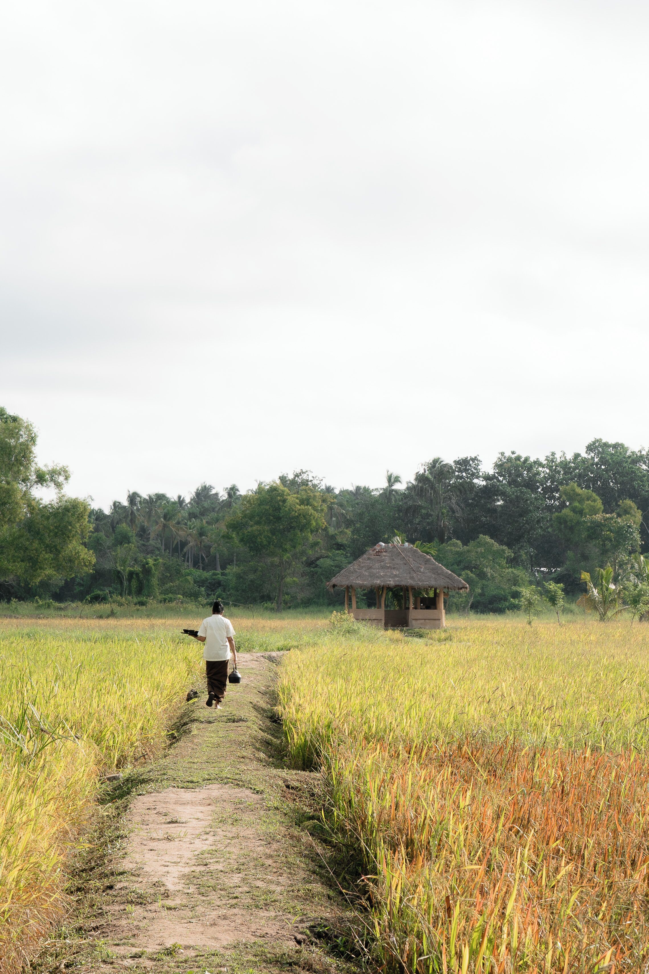 Foto - Kirindi Paddy Isle - Boutique Villa
