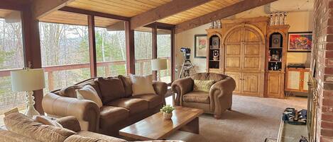 Smart TV, fireplace, video games, DVD player