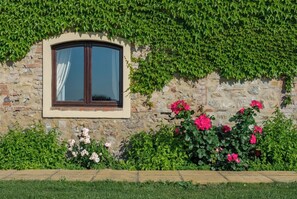 Detalle exterior