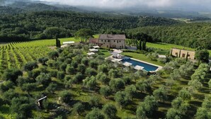 A large estate with a swimming pool, vineyard, and stone buildings.
