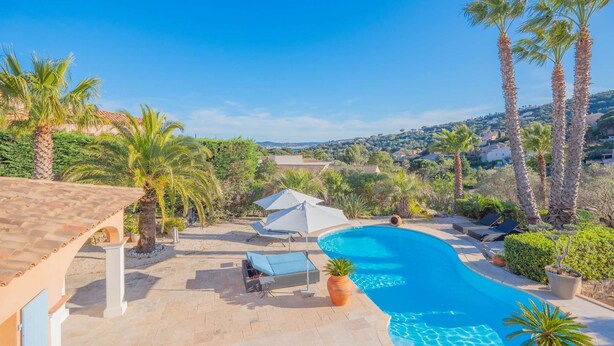 A swimming pool with lounge chairs and umbrellas, surrounded by palm trees and a view of the countryside.