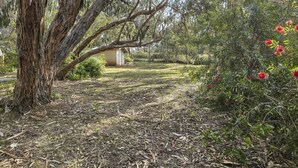 Un jardin avec un grand arbre, un petit abri de jardin et des plantes à fleurs.