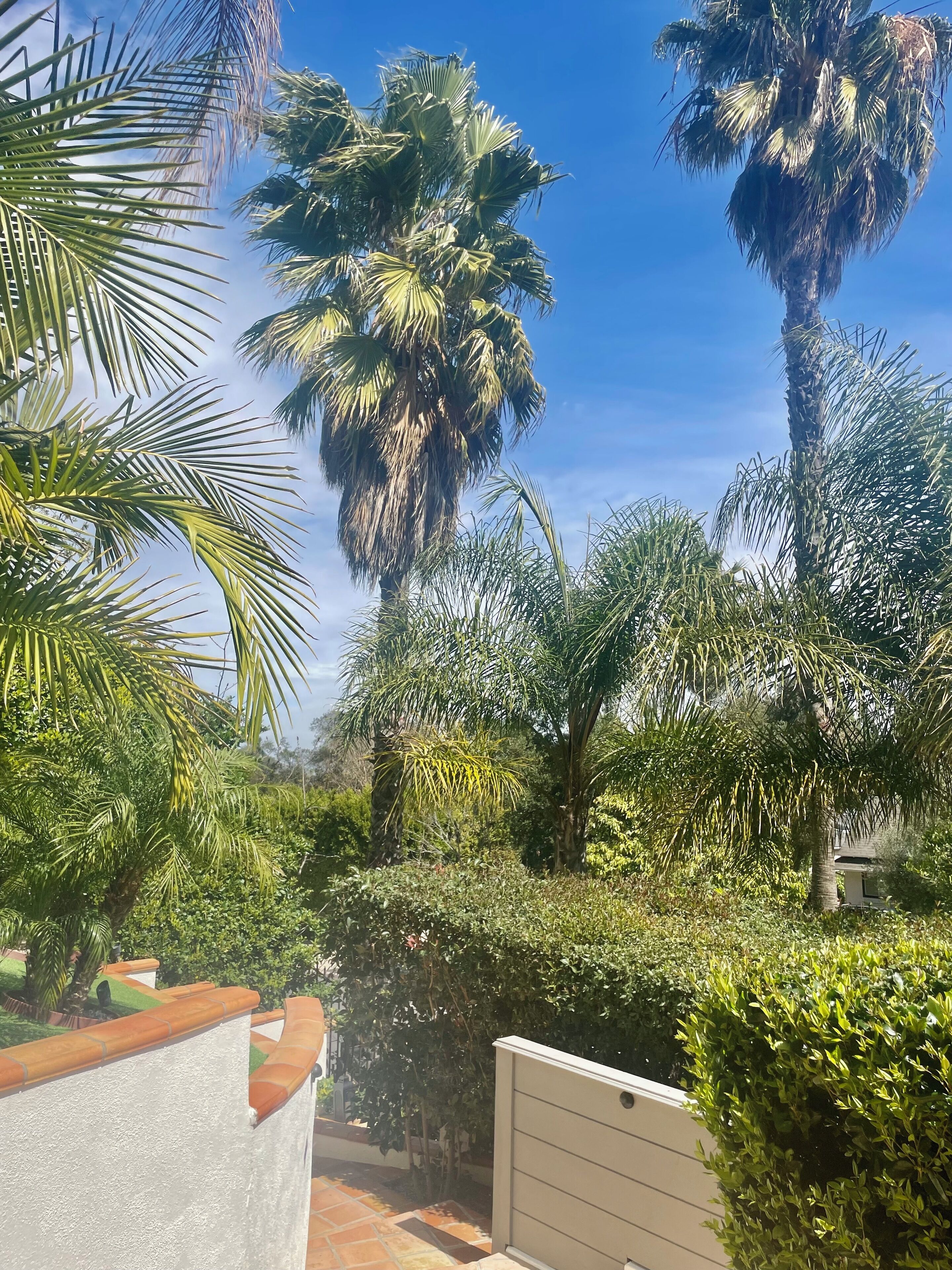 Parco della struttura