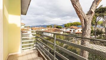 Un balcón con barandilla de metal que da a una zona residencial con casas y árboles.